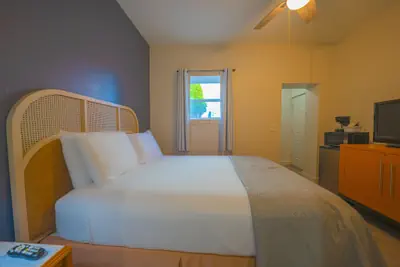 Photo 5 - City Centre Motel by OYO