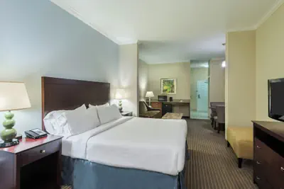 Photo 3 - Holiday Inn Express Hotel & Suites New Iberia - Avery Island by IHG