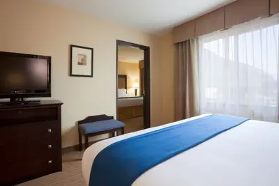 Photo 5 - Holiday Inn Express Hotel & Suites Madison-Verona by IHG