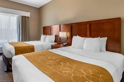 Photo 2 - Comfort Suites Near Texas A&M University - Corpus Christi
