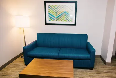 Photo 4 - Holiday Inn Express & Suites Tampa USF Busch Gardens by IHG