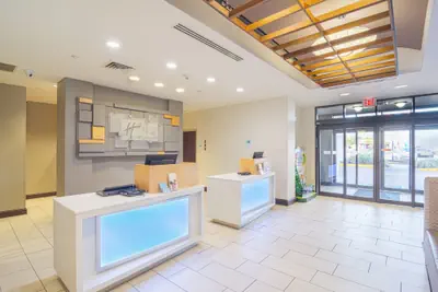 Photo 3 - Holiday Inn Express & Suites Tampa USF Busch Gardens by IHG