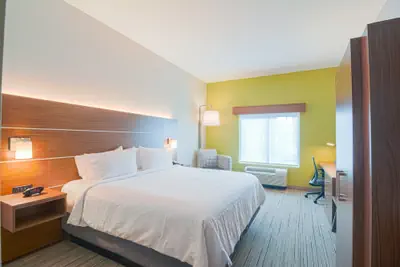 Photo 4 - Holiday Inn Express & Suites Tampa USF Busch Gardens by IHG
