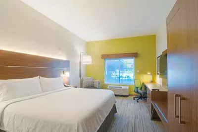 Photo 5 - Holiday Inn Express & Suites Tampa USF Busch Gardens by IHG