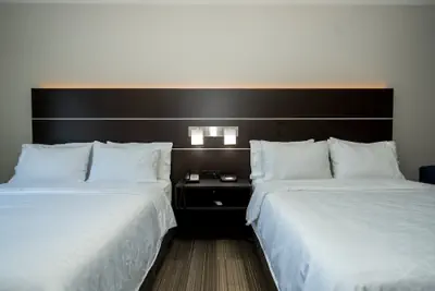 Photo 5 - Holiday Inn Express & Suites Deer Park by IHG