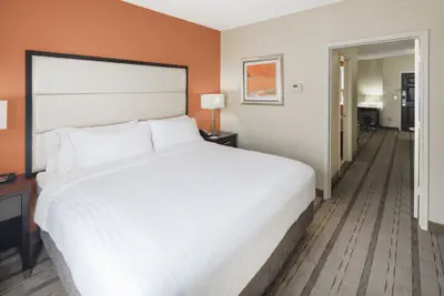 Photo 5 - Holiday Inn Express & Suites Atlanta NE - Duluth by IHG