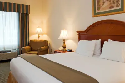 Photo 5 - Holiday Inn Express Hotel & Suites Emporia by IHG
