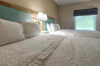Photo 5 - Hampton Inn Batavia