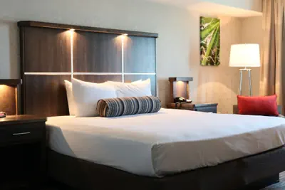 Photo 3 - Avi Resort & Casino