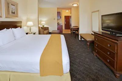 Photo 4 - Holiday Inn Express Hotel & Suites Pearland by IHG