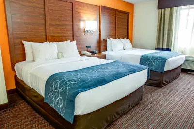 Photo 5 - Comfort Suites Stevensville - St. Joseph