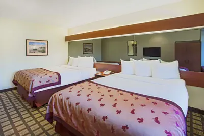 Photo 3 - Microtel Inn & Suites by Wyndham Holland