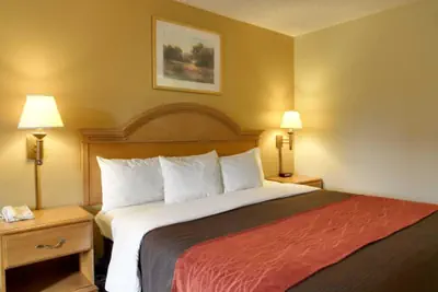 Photo 5 - Quality Inn & Suites Malvern