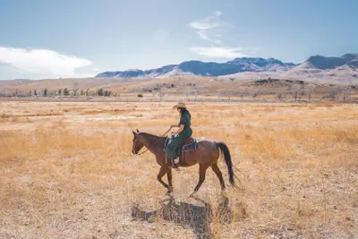 Photo 2 - Cibolo Creek Ranch And Resort