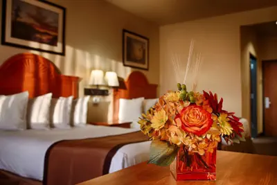Photo 5 - Best Western Plus Graham Inn