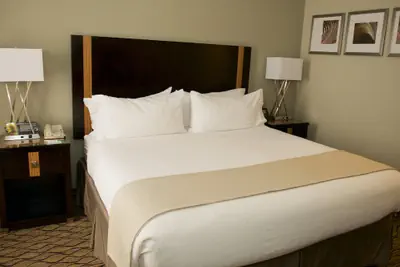 Photo 5 - Holiday Inn Effingham by IHG