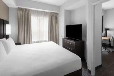 Photo 5 - Residence Inn by Marriott Tampa Oldsmar