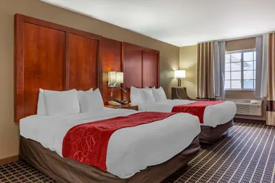 Photo 4 - Comfort Suites Delavan - Lake Geneva Area