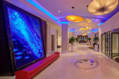 Photo 3 - Hilton Virginia Beach Oceanfront