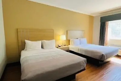 Photo 2 - Quality Inn Gulf Shores Airport