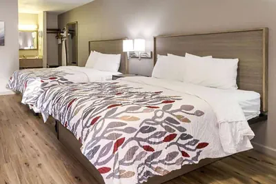 Photo 5 - Baymont by Wyndham Socorro