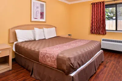 Photo 4 - Americas Best Value Inn & Suites Clearlake Wine Country