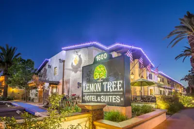 Photo 2 - Lemon Tree Hotel & Suites Anaheim