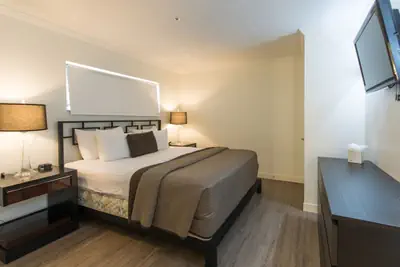 Photo 5 - Hibiscus Suites - Gateway to Siesta Key