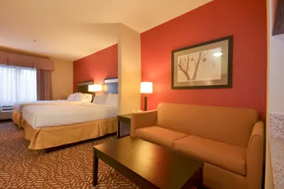 Photo 4 - Holiday Inn Express Hotel & Suites Pine Bluff / Pines Mall by IHG