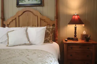 Photo 5 - The Village Inn