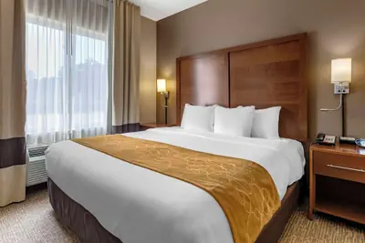 Photo 5 - Comfort Suites Coralville I-80