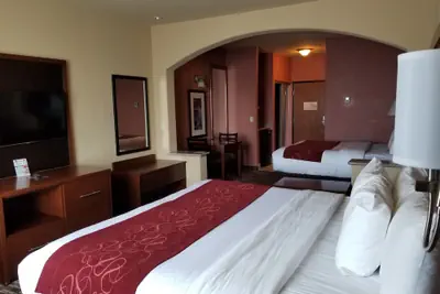 Photo 3 - Comfort Suites McAllen Airport and La Plaza Mall
