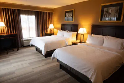 Photo 4 - Holiday Inn Express & Suites Tuscaloosa-University by IHG