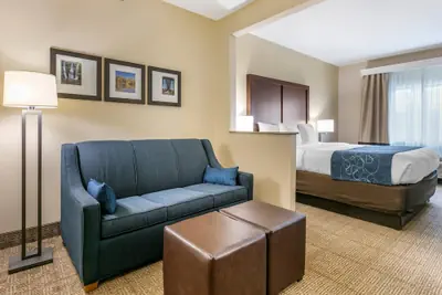 Photo 2 - Comfort Suites Batesville