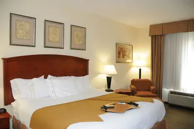 Photo 5 - Holiday Inn Express Hotel & Suites Dallas-Grand Prairie I-20 by IHG