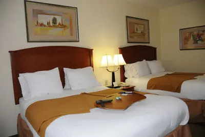 Photo 4 - Holiday Inn Express Hotel & Suites Dallas-Grand Prairie I-20 by IHG