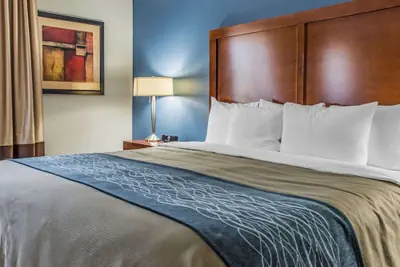 Photo 5 - Quality Inn Belle Vernon