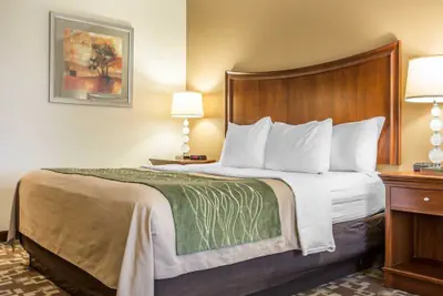 Photo 5 - Comfort Inn & Suites Orangeburg