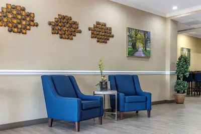 Photo 4 - Comfort Inn & Suites Orangeburg