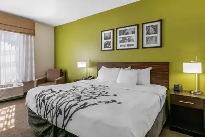 Photo 5 - Sleep Inn & Suites Columbia I-65
