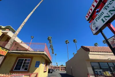 Photo 4 - Palm Tree Inn