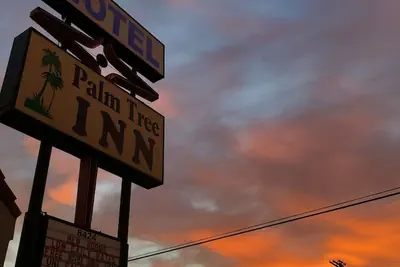 Photo 5 - Palm Tree Inn