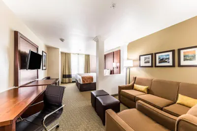 Photo 2 - Comfort Suites Grand Prairie - Arlington North