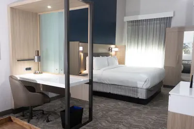 Photo 3 - SpringHill Suites by Marriott Dallas McKinney/Allen