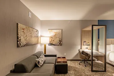 Photo 2 - SpringHill Suites by Marriott Dallas McKinney/Allen