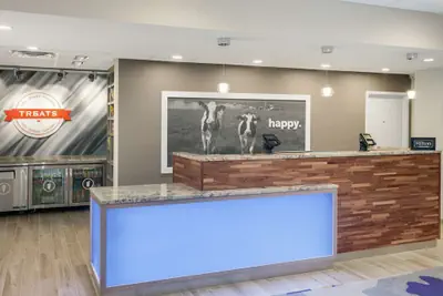 Photo 4 - Hampton Inn & Suites Rocky Hill - Hartford South
