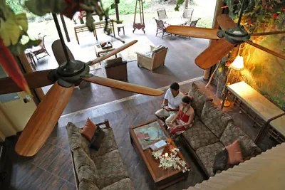 Photo 3 - Hawaiian Sanctuary