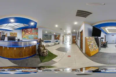 Photo 4 - 1 Life Studio and Suites