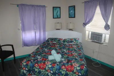 Photo 3 - Hoosville Hostel