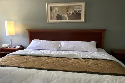 Photo 4 - Palace Inn & Suites - Newport News/Jefferson Ave